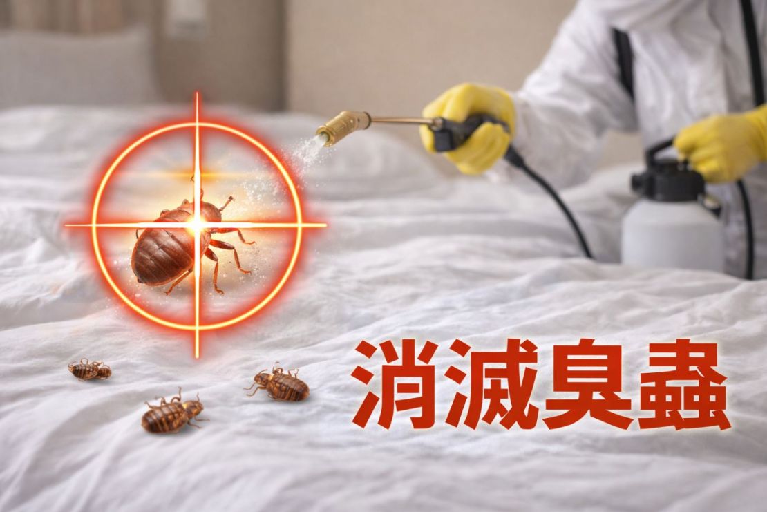 臭蟲怎麼來、怎麼除？完整消滅臭蟲攻略
